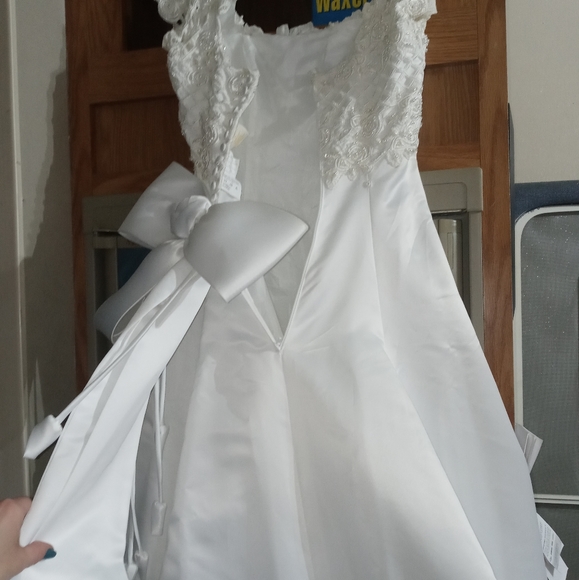 David's Bridal wedding gown with veil - Picture 4 of 11